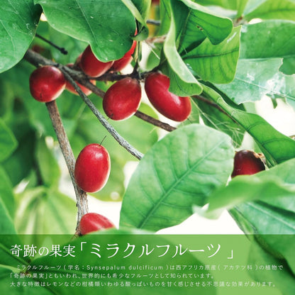 ミラクルフルーツフリーズドライ果実(6粒入り)