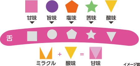 あまなーれ!?AMANALEとミラクルフルーツ